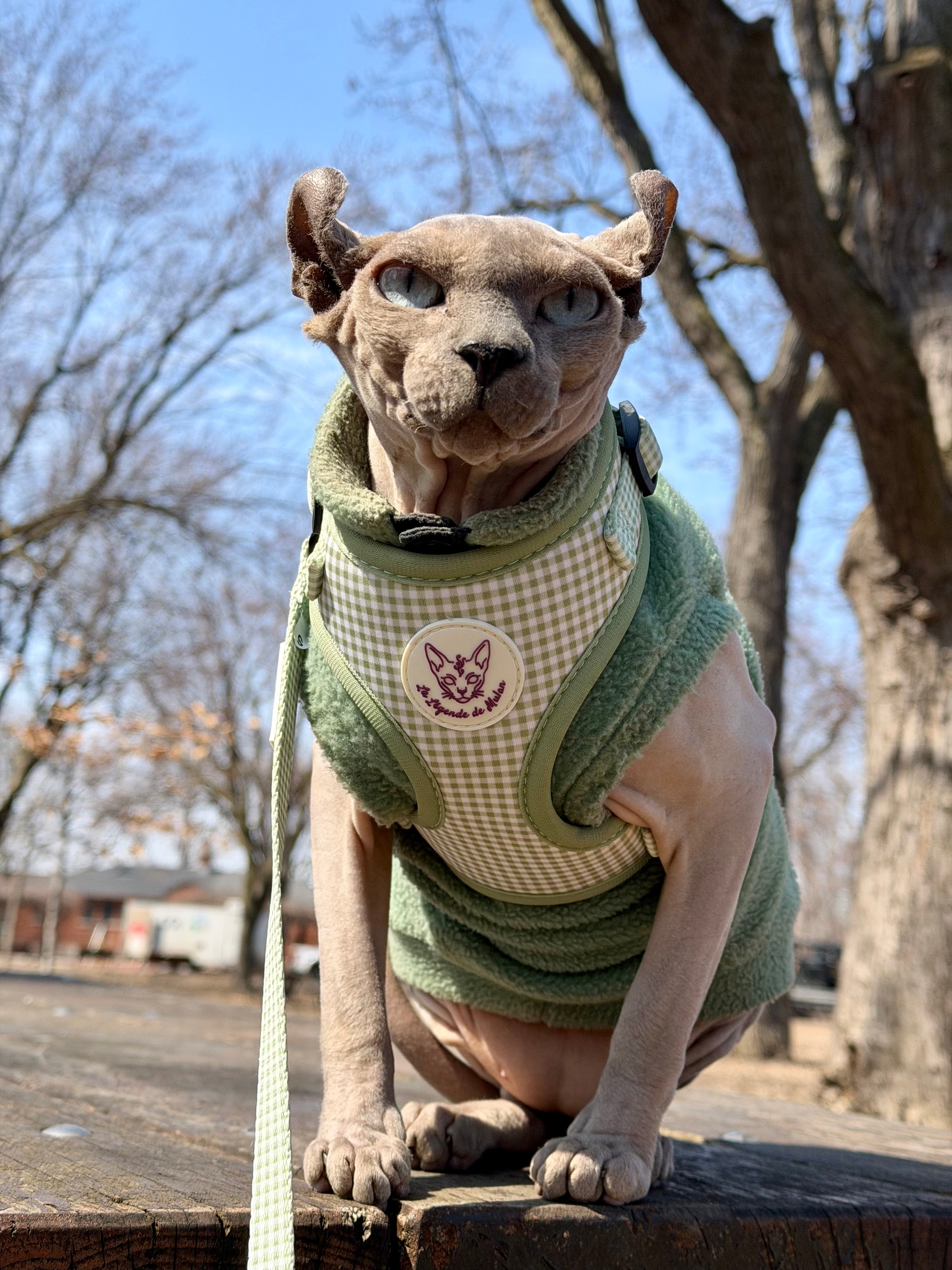 Harnais - Matcha Picnic🍵