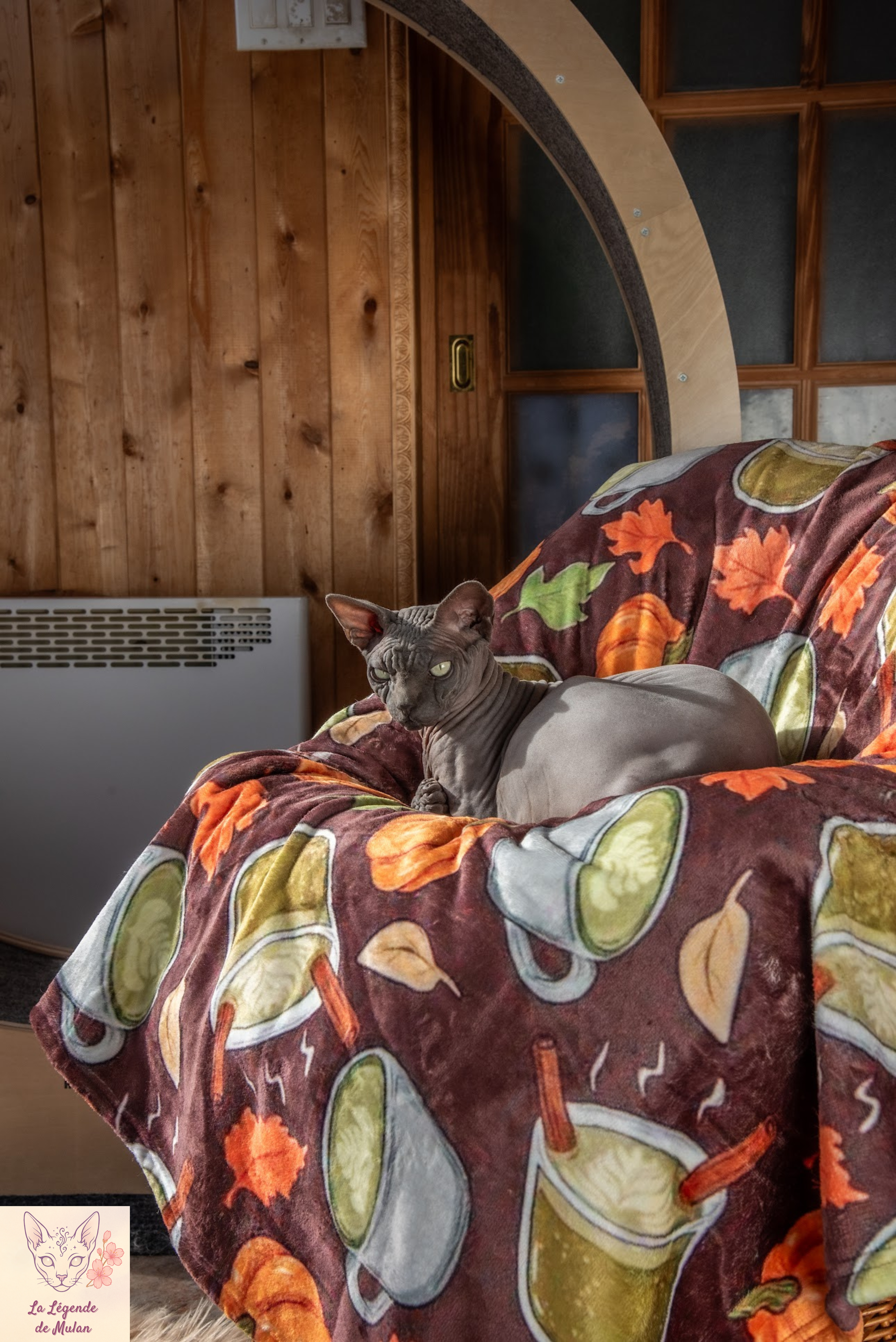 Doudou-Pumpcha🎃🍵