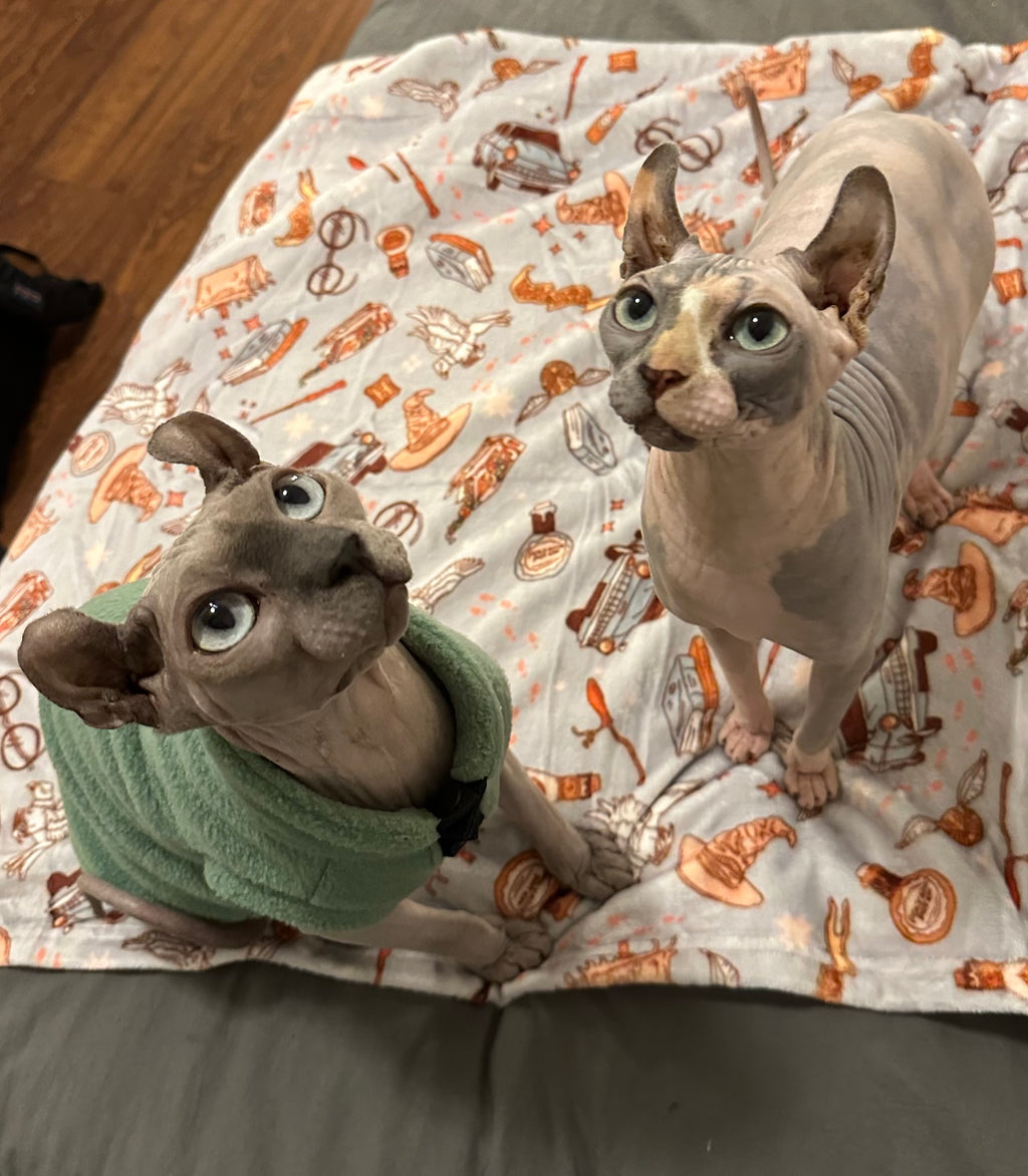 Doudou des Moldus🧙🏼