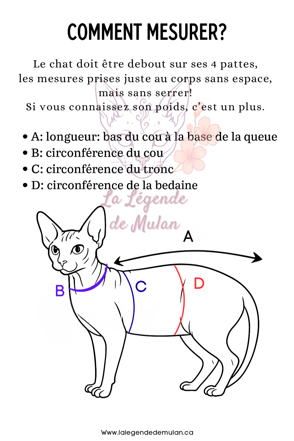 Harnais - Matcha Picnic🍵