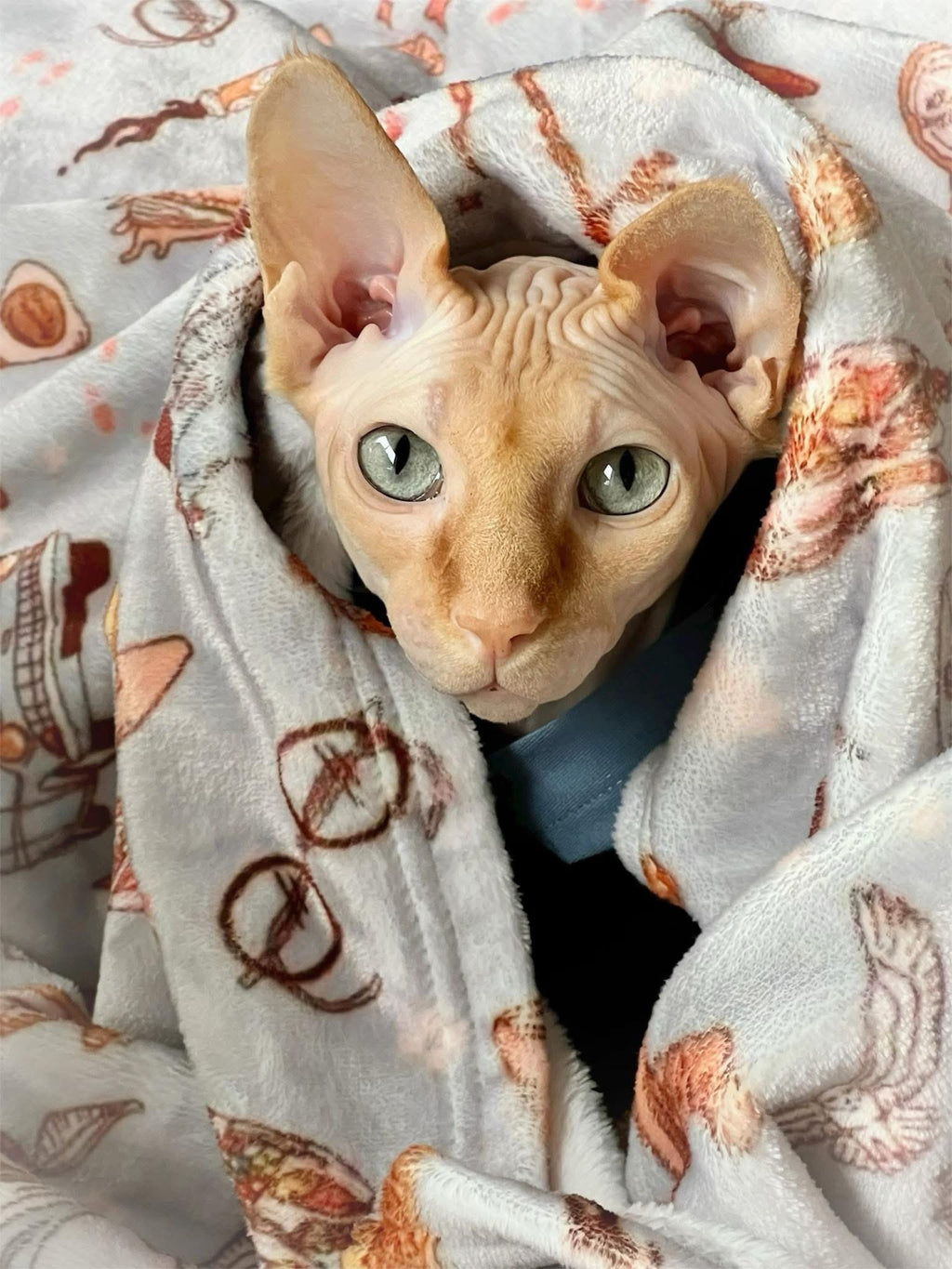 Doudou des Moldus🧙🏼