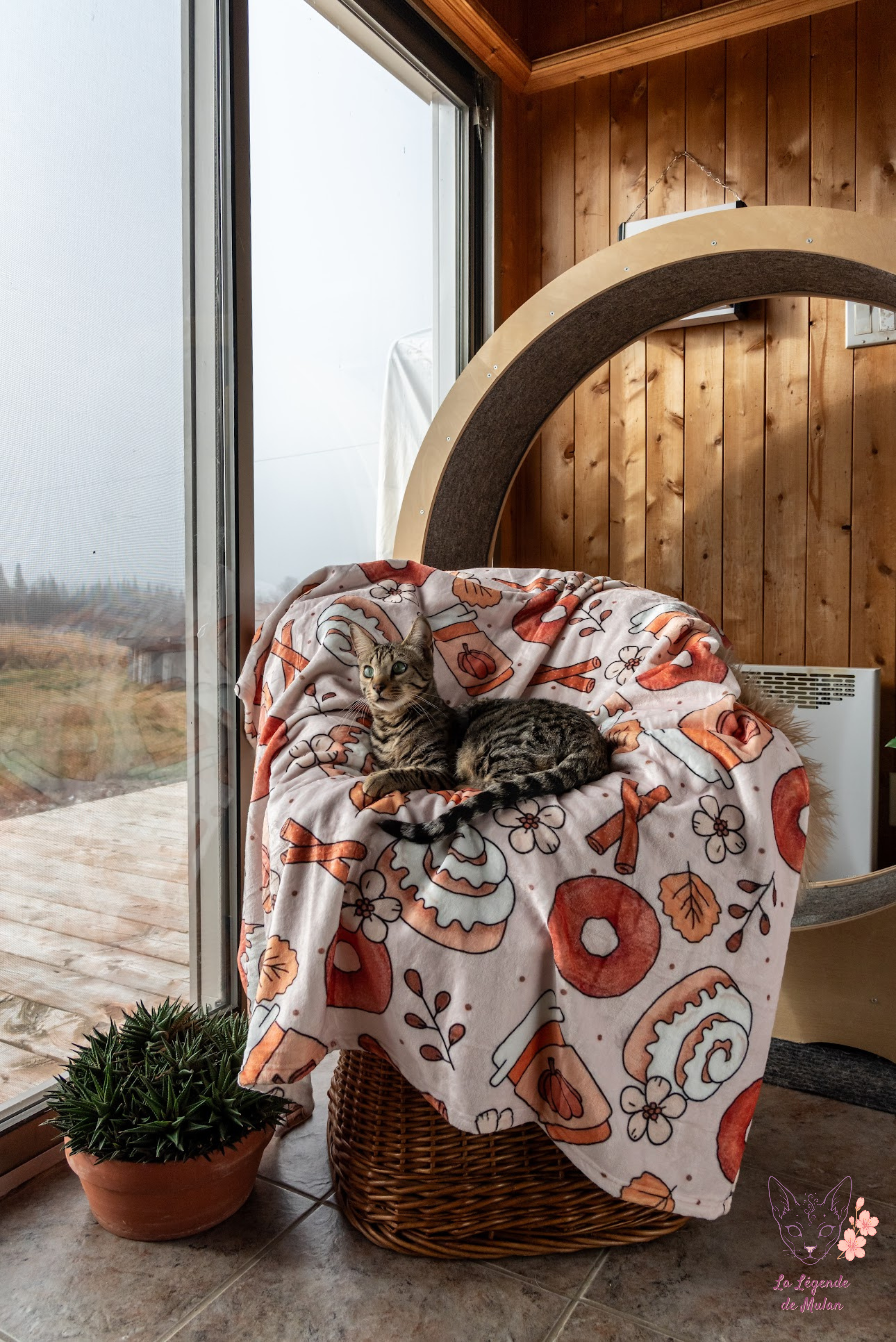 Doudou-Rêve d’épices🍂🎃